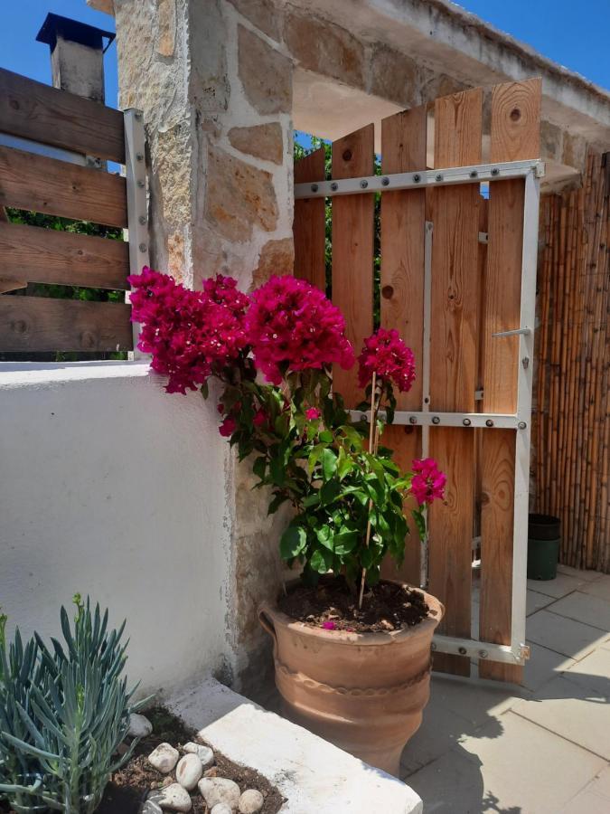 Katoi Traditional House Exo Khora Exterior photo